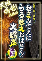 セミみてえにうるせえおばさんの大嬌声 30人8時間 オムニバス